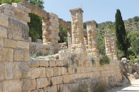 אוטו מטייל: מעיינות במרכז הרי ירושלים